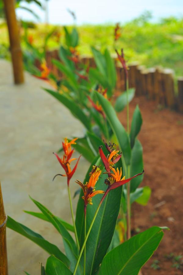 Pura Vida Varkala Hotel Екстериор снимка
